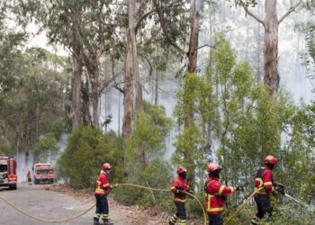 Cordão humano e manifestação contra “atrocidades” provocadas pelos fogos