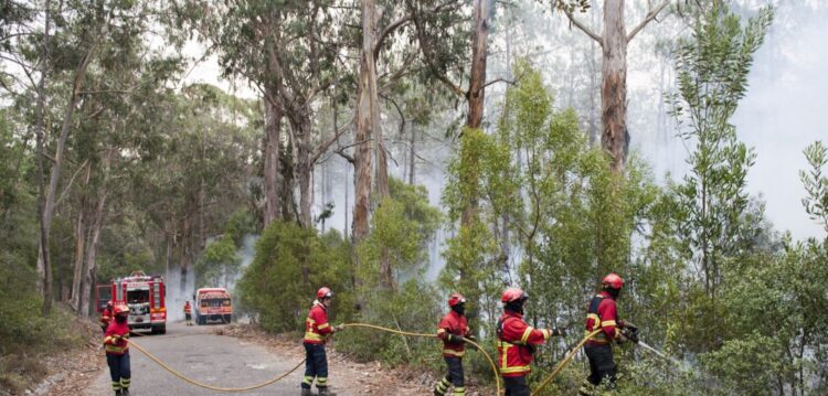 Cordão humano e manifestação contra “atrocidades” provocadas pelos fogos