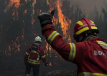 Dispositivo de combate a incêndios prolongado até 15 de Novembro
