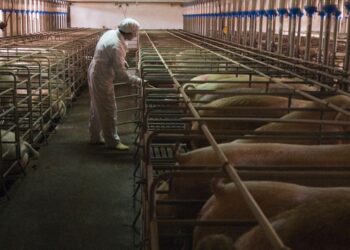 Há ainda um mês e meio para salvar o dinheiro para ETES