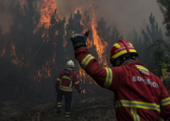 Homem apanhado a pôr fogo em mato de Porto de Mós