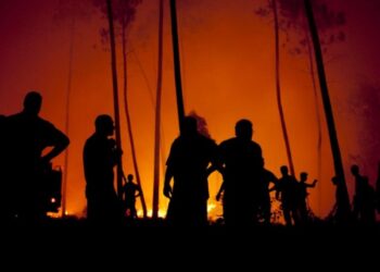 Incêndio de Pombal: bombeiros preocupados em defender “povoações no caminho” das chamas.