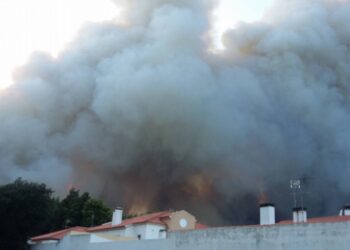 Incêndio em São Pedro de Moel ameaça casas