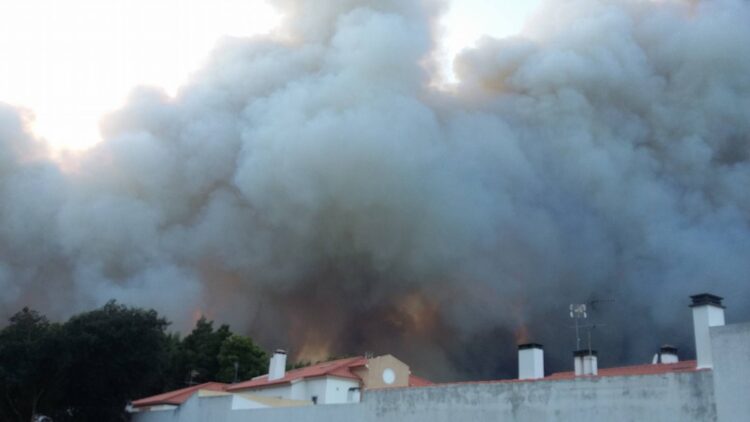 Incêndio em São Pedro de Moel ameaça casas