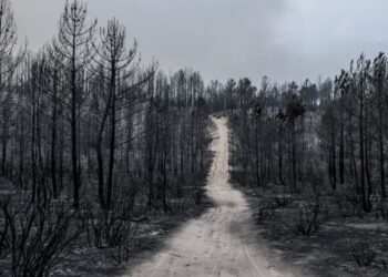 Não há incêndios activos desde as 5 horas da manhã