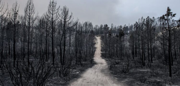 Não há incêndios activos desde as 5 horas da manhã