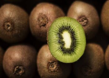 Negócio do kiwi incentiva novos pomares e agricultores em Pombal