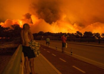 “Os Verdes” exigem “margem orçamental” para tornar floresta prioritária