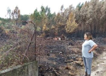 PJ: incêndio do Pinhal de Leiria terá começado num terreno com lixo. E terá sido uma reactivação.