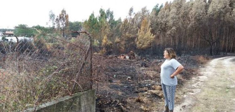 PJ: incêndio do Pinhal de Leiria terá começado num terreno com lixo. E terá sido uma reactivação.