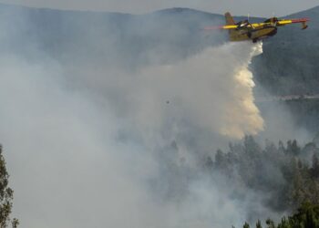 Rápida intervenção inicial evitaria fogos de grandes dimensões