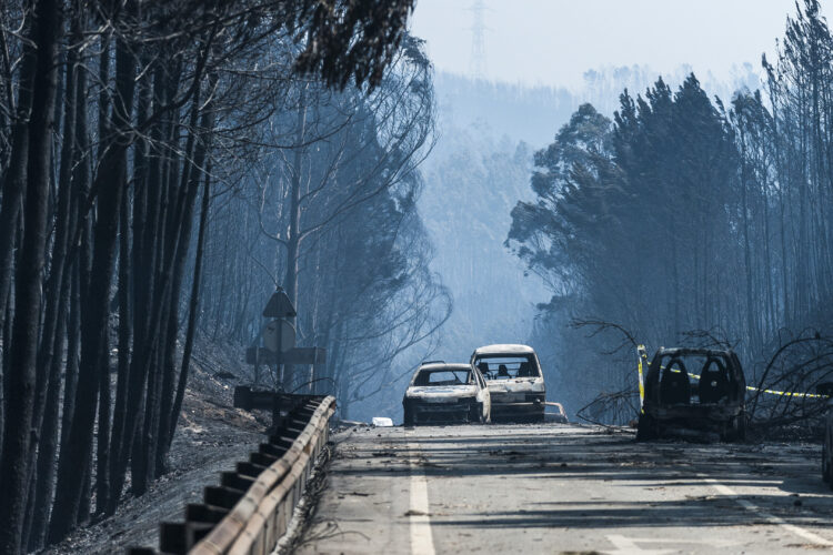 Relatório aponta falhas no comando na resposta ao fogo de Pedrógão