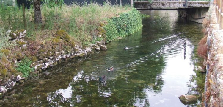 Rio Lis: 40 quilómetros e um tesouro por descobrir