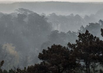 Veja as imagens aéreas da Serra do Bouro e da Foz do Arelho destruídas pelo fogo