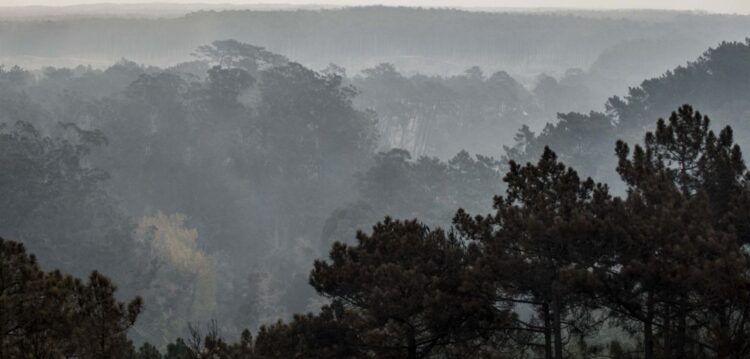 Veja as imagens aéreas da Serra do Bouro e da Foz do Arelho destruídas pelo fogo