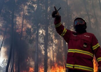 Vento forte está a alimentar incêndios junto à Burinhosa em direcção a São Pedro de Moel