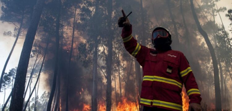 Vento forte está a alimentar incêndios junto à Burinhosa em direcção a São Pedro de Moel