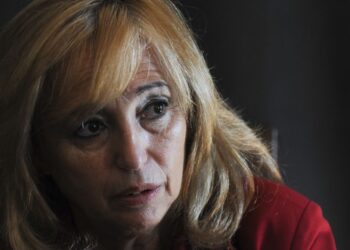 Cidália Ferreira: “Para nós, marinhenses, a Mata não é privatizável”
