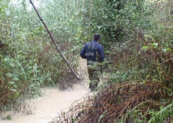 Defesa da Ribeira dos Milagres apela à intervenção urgente do ministro para pôr fim às descargas ilegais