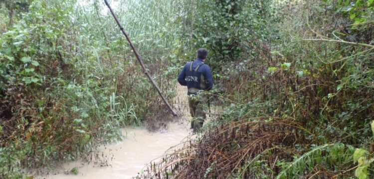 Defesa da Ribeira dos Milagres apela à intervenção urgente do ministro para pôr fim às descargas ilegais