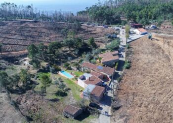 Em Ferraria de São João, já se vê o resultado da criação da zona de protecção contra fogo