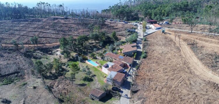 Em Ferraria de São João, já se vê o resultado da criação da zona de protecção contra fogo