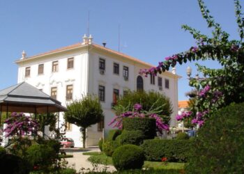 Figueiró dos Vinhos discute competências e emprego sustentado