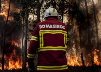 Governo pretende apostas em bombeiros profissionalizados em todos os municípios