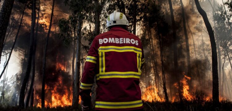 Governo pretende apostas em bombeiros profissionalizados em todos os municípios