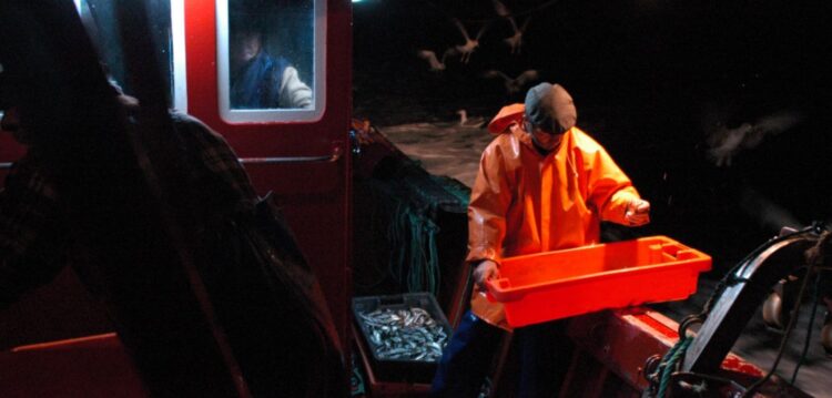 Pescadores dizem que suspender captura de sardinha não tem fundamento