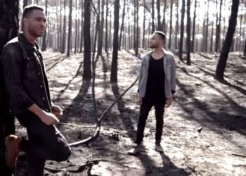 Pinhal de Leiria volta a figurar em videoclipe sobre incêndios