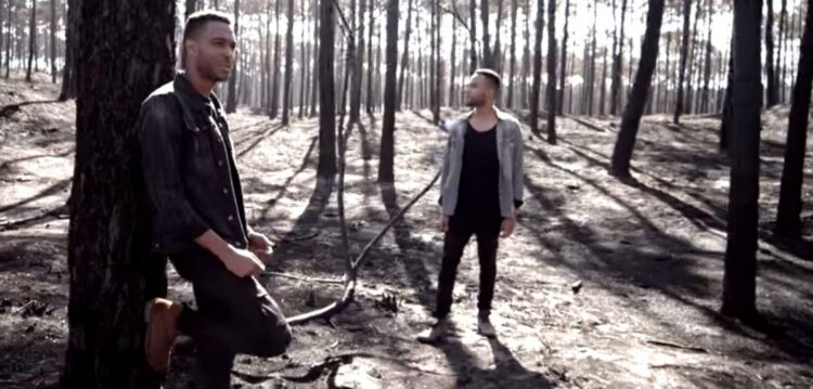 Pinhal de Leiria volta a figurar em videoclipe sobre incêndios
