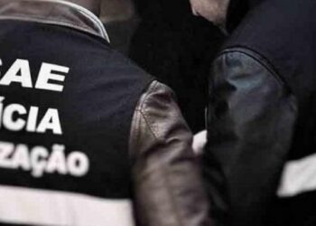 ASAE apreende em Leiria garrafas de ‘Barca Velha’ e ‘Pêra Manca’ falsificadas