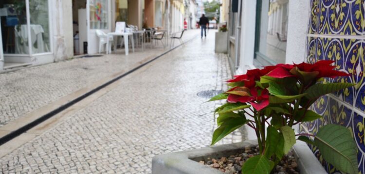 Jardins públicos da Marinha Grande vandalizados