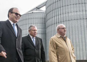 Racentro investe em secador para reduzir importações de milho
