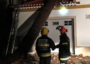 Símbolo do Reguengo do Fètal não resistiu à Ana e caiu por terra