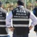 ASAE desmantela locais de abate clandestino de leitões e prende três pessoas em flagrante