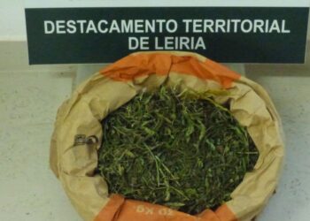 GNR detém dois homens suspeitos de tráfico de droga na Maceira