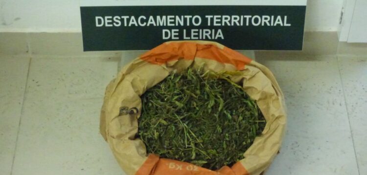 GNR detém dois homens suspeitos de tráfico de droga na Maceira