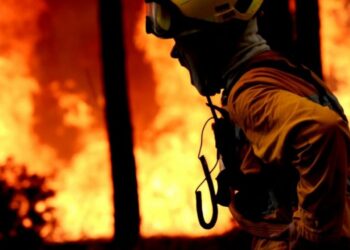Liga dos Bombeiros alerta para mensagens falsas