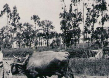 Páginas de histórias que não se fazem de datas e batalhas
