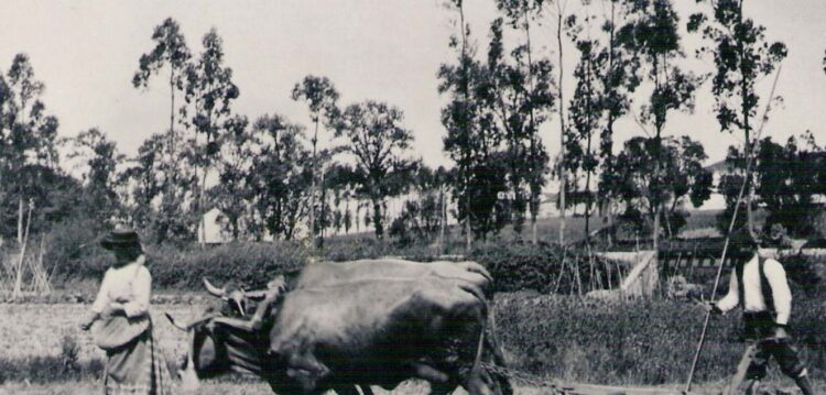 Páginas de histórias que não se fazem de datas e batalhas