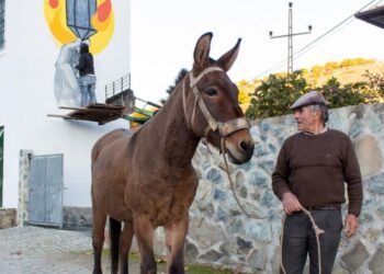 Arte Pública a invadir o “país paisagem”