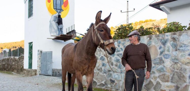 Arte Pública a invadir o “país paisagem”