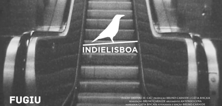 Bruno Carnide estreia “Fugiu. Deitou-se. Caí.” no Indie Lisboa