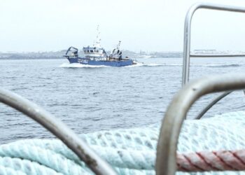Nerlei discute economia do mar em Peniche