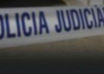 PJ detém treinador suspeito de pertencer a rede organizada de tráfico e viciação de veículos