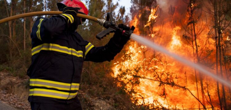Especialistas avisam que Portugal está em risco de catástrofes iguais ou piores a 2017