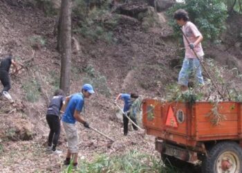 Fiscalização à limpeza dos terrenos inicia-se hoje