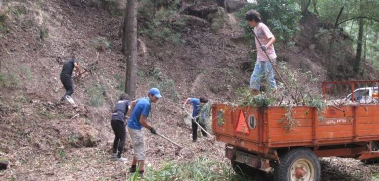 Fiscalização à limpeza dos terrenos inicia-se hoje